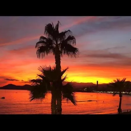 Apartamento Playa De Levante